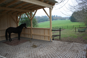 Separater Hengststall mit Auslauf